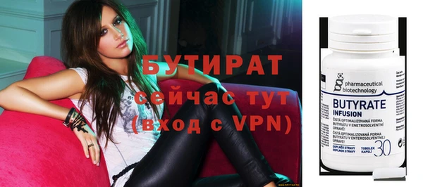 индика Каменногорск