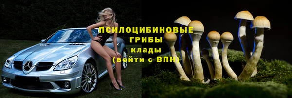 соль ск Иннополис