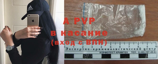индика Каменногорск