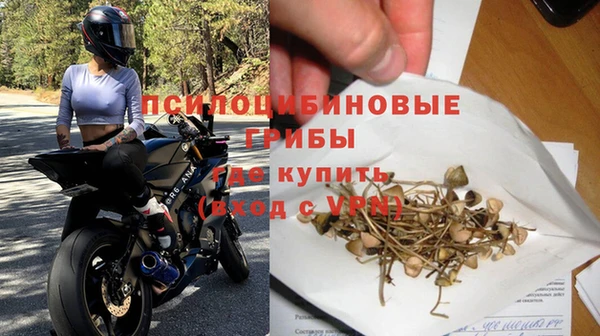 бошки Каменка