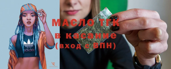 индика Каменногорск
