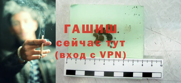 индика Каменногорск
