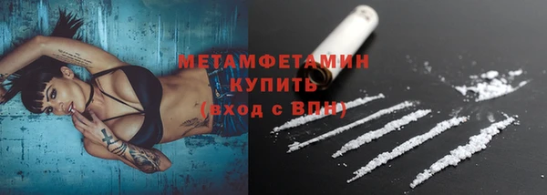 индика Каменногорск
