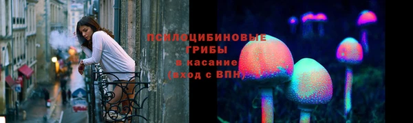 бошки Каменка