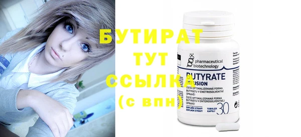 индика Каменногорск