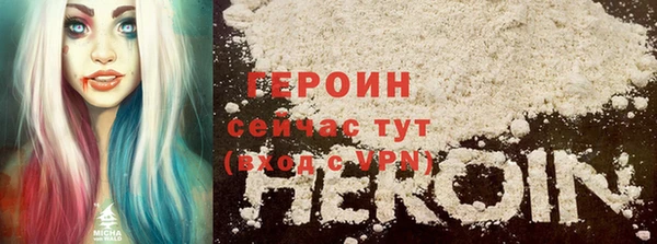индика Каменногорск