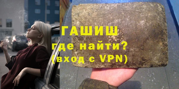 индика Каменногорск