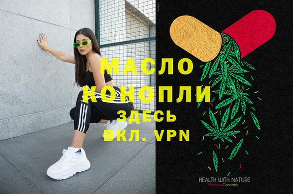 индика Каменногорск