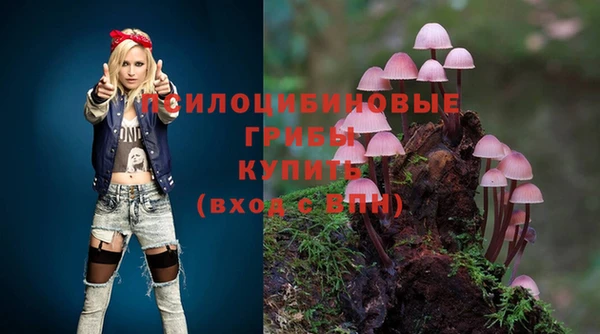 бошки Каменка