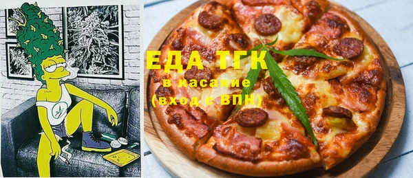 индика Каменногорск