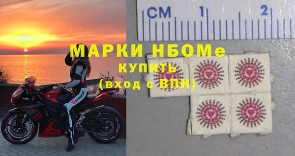 индика Каменногорск