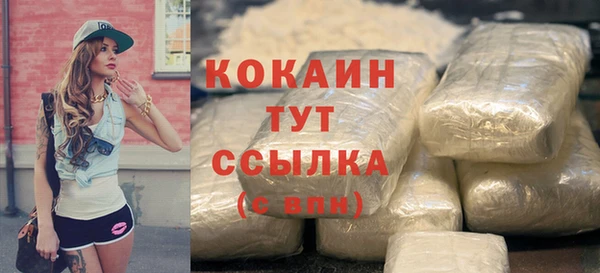 индика Каменногорск